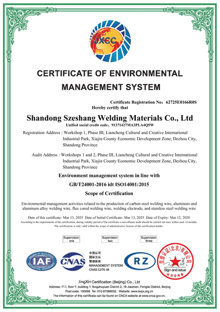 62725E0166R0S-14001-英文证书 (2)